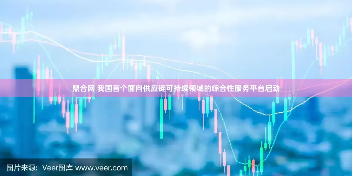 鼎合网 我国首个面向供应链可持续领域的综合性服务平台启动