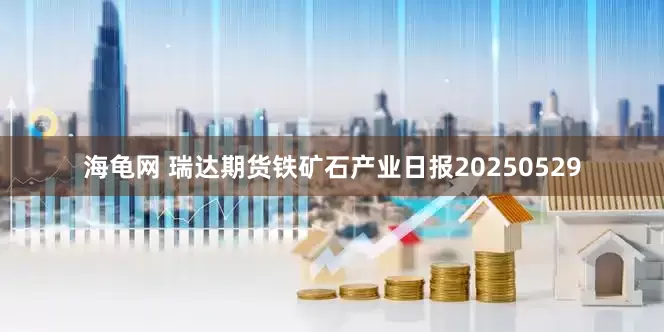 海龟网 瑞达期货铁矿石产业日报20250529